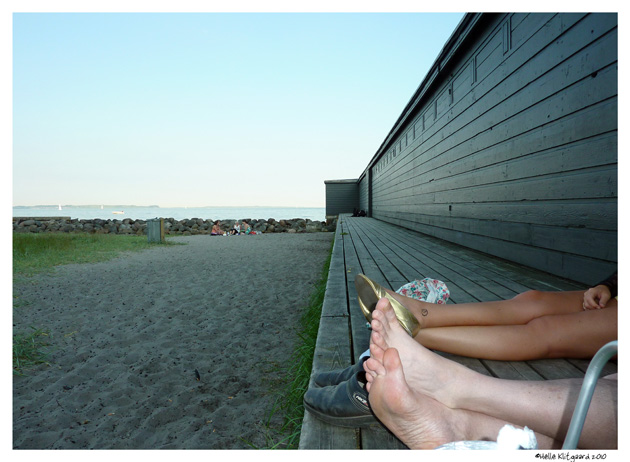 aarhus_280610