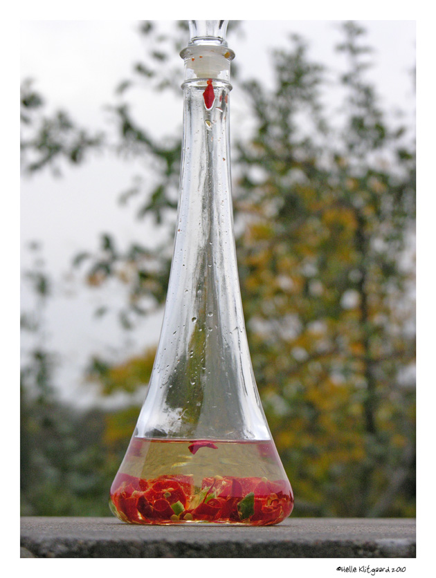 chili-olie_061010_3