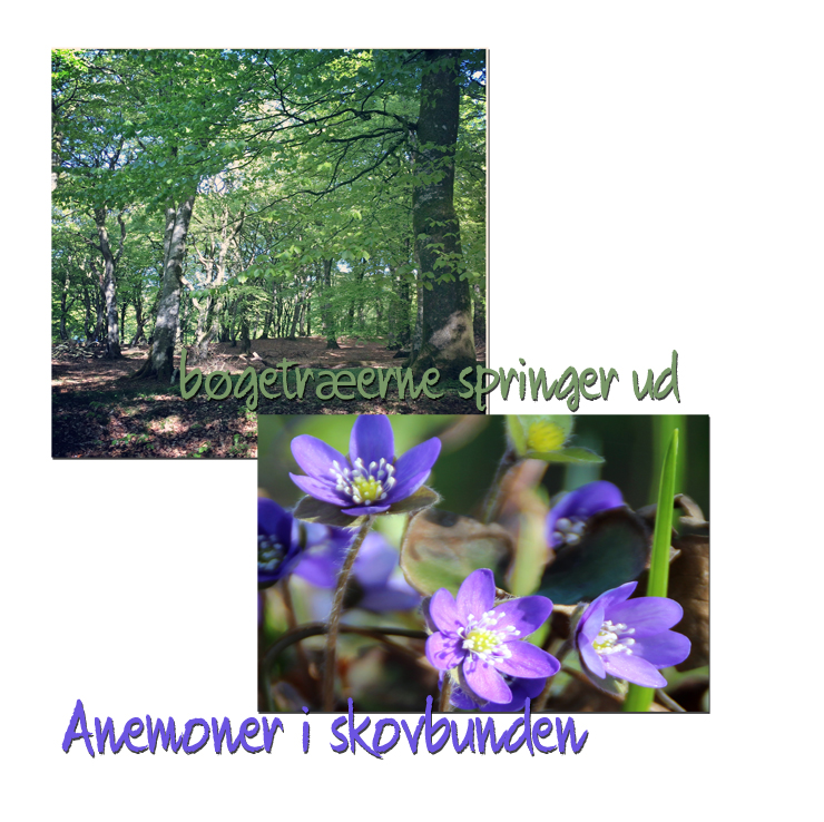 dansker_i_norge_160514