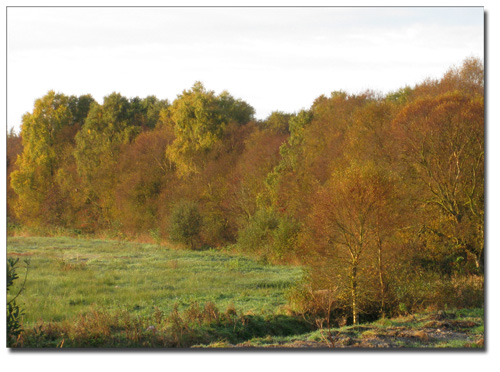 efterårsfarver_121009