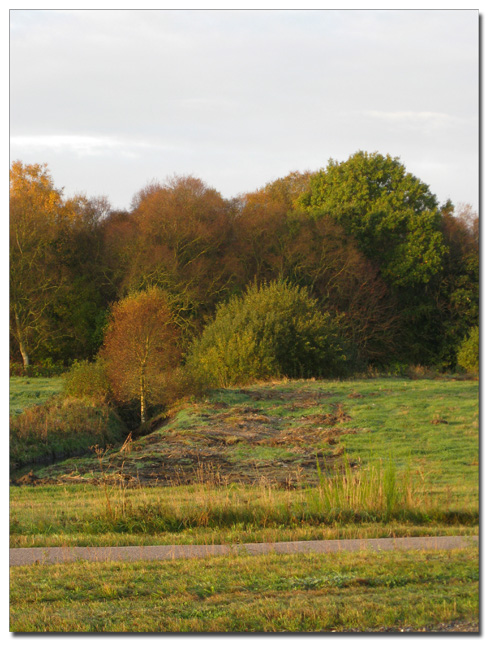 efterårsfarver_121009_2