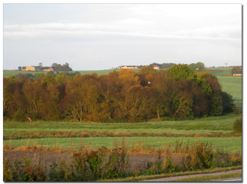 efterårsfarver_121009_3