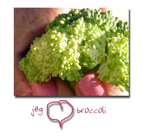 elsker_broccoli_280911