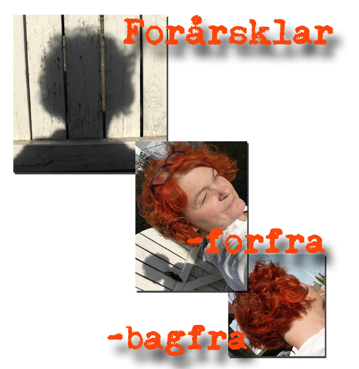 forårstrimmet_250214