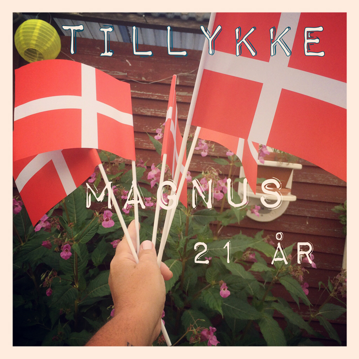 fødselsdagskort_2014