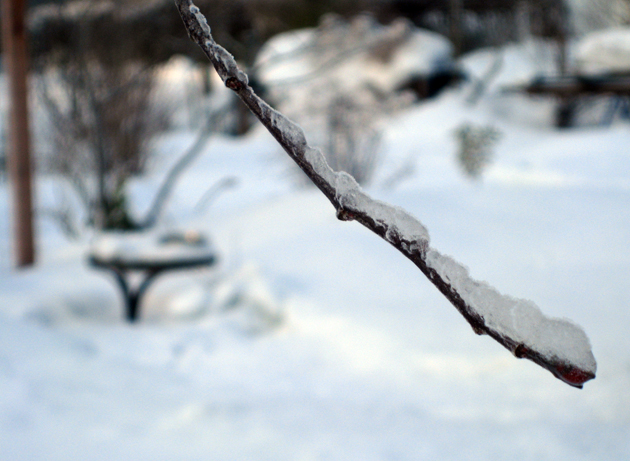 gren_020310