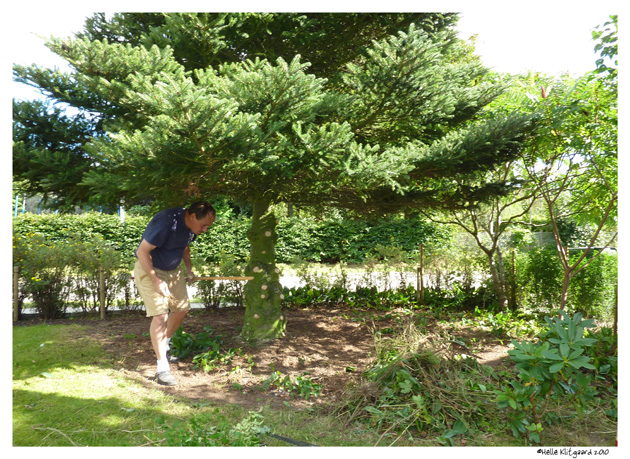 have_gran_050910