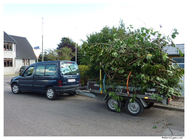 have_læs_050910