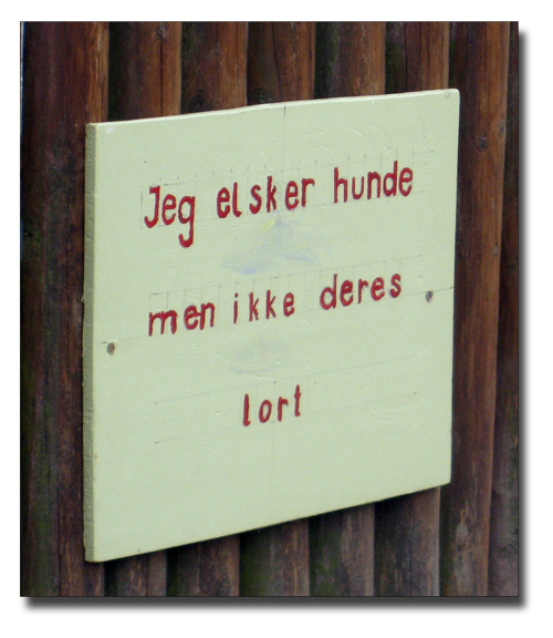 hund_260909