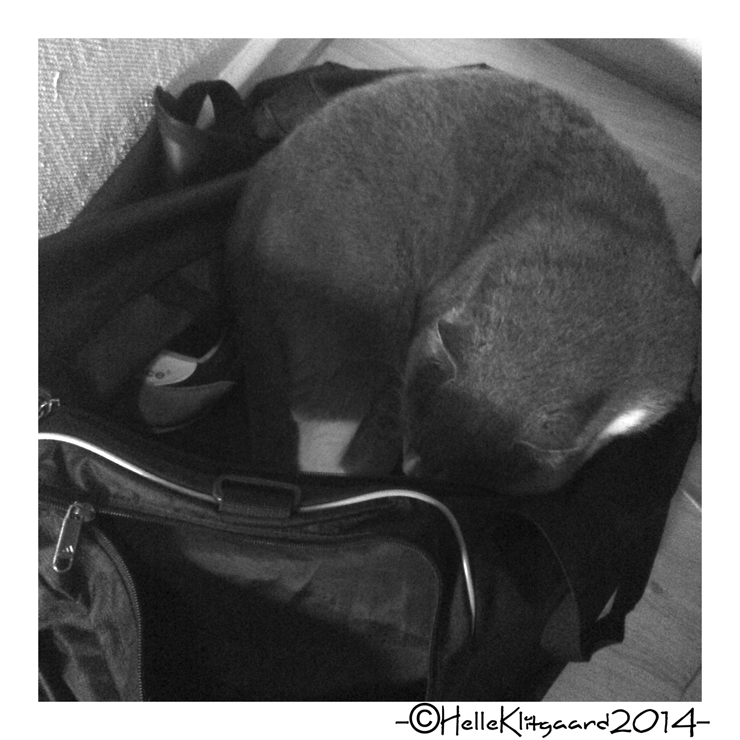 jensen_240914