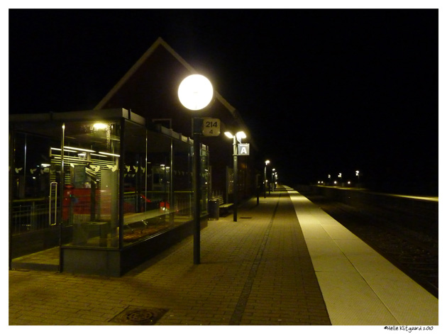 kat_hjem_301010