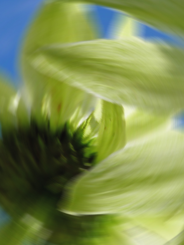 macrosjov_droemmeagtigt_020511