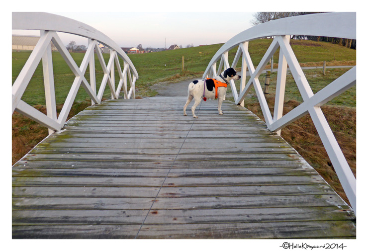 morgentur_250214_2