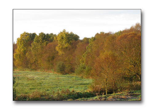 natur_191009 natur_191009