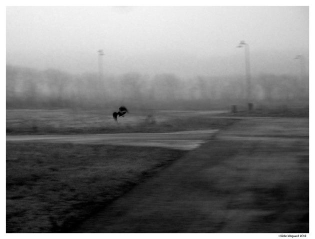 project_365_dag_60