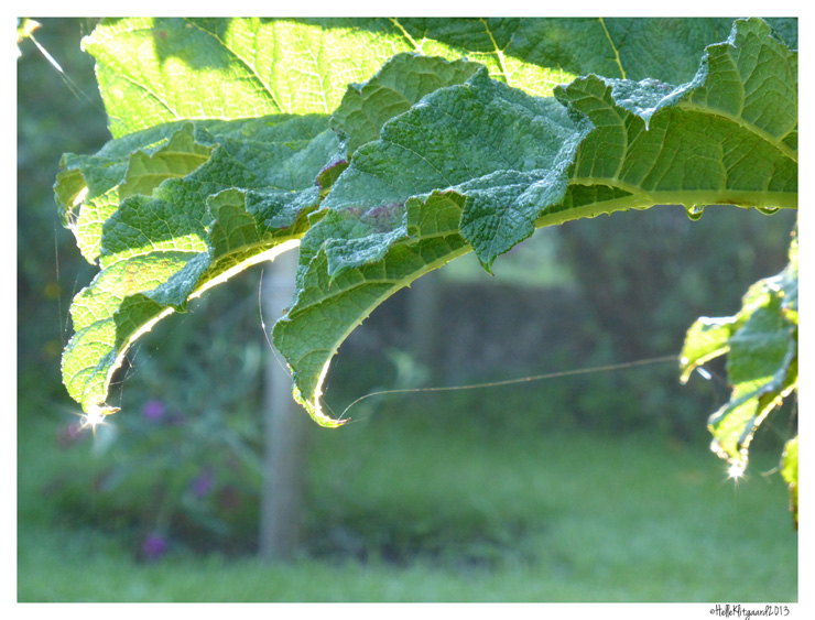 septemberdag_200913