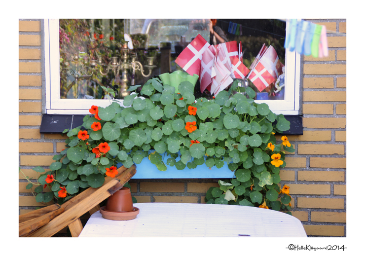 tallerkensmækker_100914 (6)