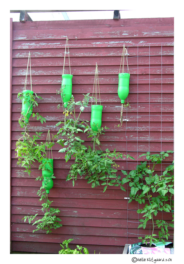 tomatflasker_170711