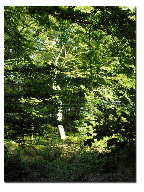 tur_180909