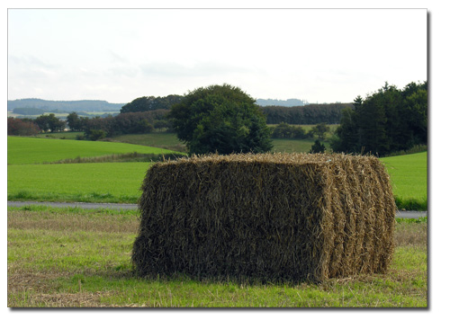 tur_190909_1 tur_190909_1