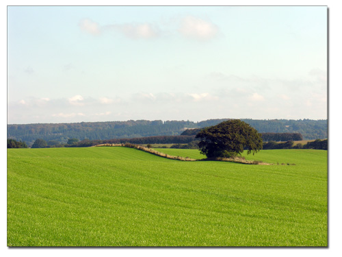 tur_190909_4 tur_190909_4