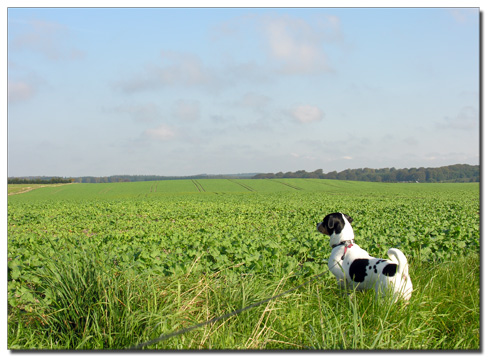 tur_190909_5 tur_190909_5