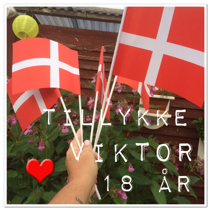 viktor_18_år_130914